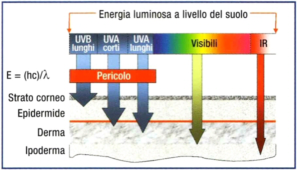 Figura 8 - La penetrazione della radiazione nella pelle Figura 8 - La penetrazione della radiazione nella pelle