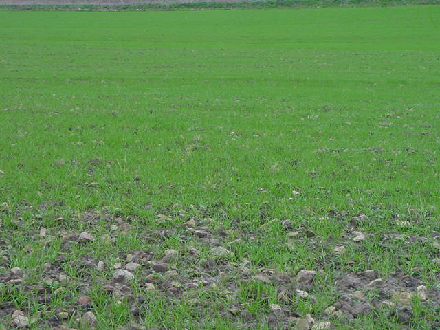 Campo di Orzo - febbraio 2004