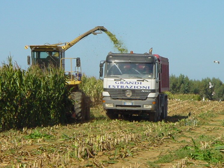 Trinciatura erbaio di mais-Settembre 2005