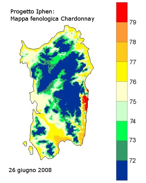 Figura 15 - Mappa fenologica dello Chardonnay al 26 giugno 2008. Figura 15 - Mappa fenologica dello Chardonnay al 26 giugno 2008.