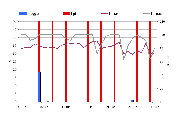Figura 15 - Andamento agrometeorologico della stazione di Oliena - luglio 2010. Sono rappresentate le temperature massime, l'umidità massima, i cumulati di precipitazione giornalieri e le giornate di allerta per la Peronospora della vite secondo l'elaborazione agrometeorologica del modello Epi. Figura 15 - Andamento agrometeorologico della stazione di Oliena - luglio 2010. Sono rappresentate le temperature massime, l'umidità massima, i cumulati di precipitazione giornalieri e le giornate di allerta per la Peronospora della vite secondo l'elaborazione agrometeorologica del modello Epi.